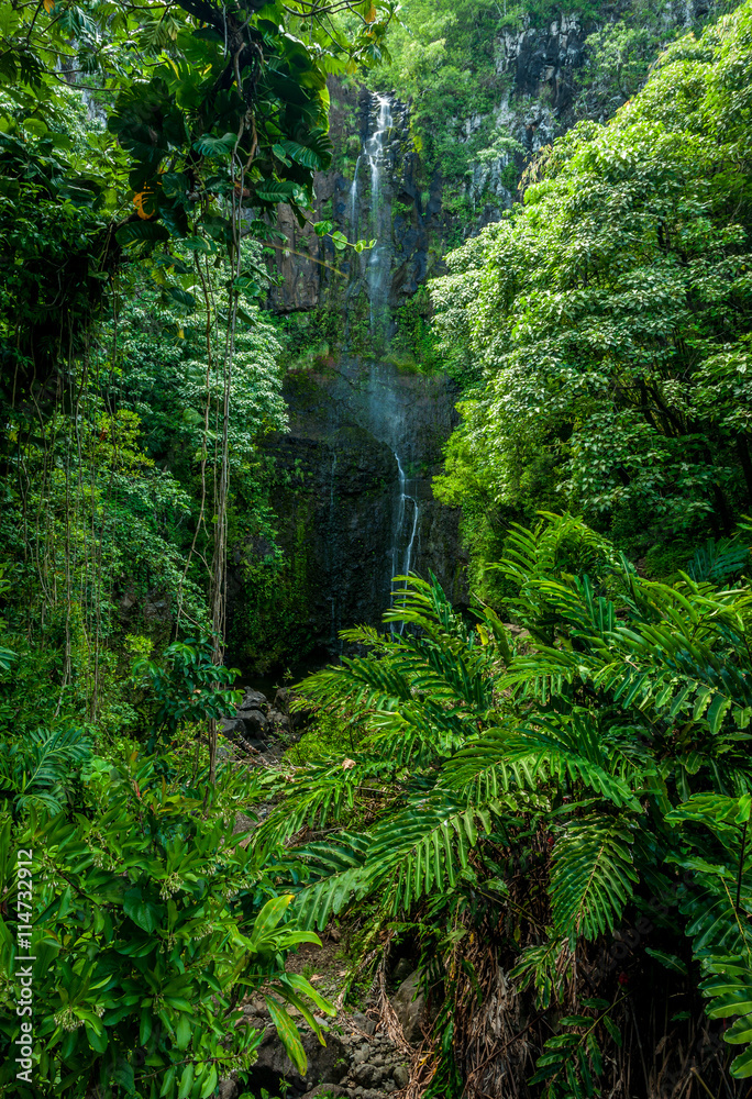 Obraz premium waterfall in jungle