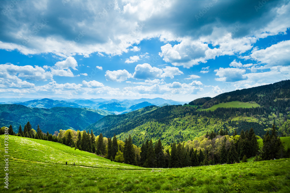 Mountain path landscape, Rodnei Mountains, Romania