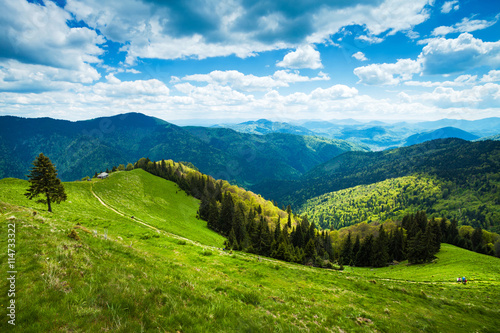 Mountain path landscape, Rodnei Mountains, Romania photo