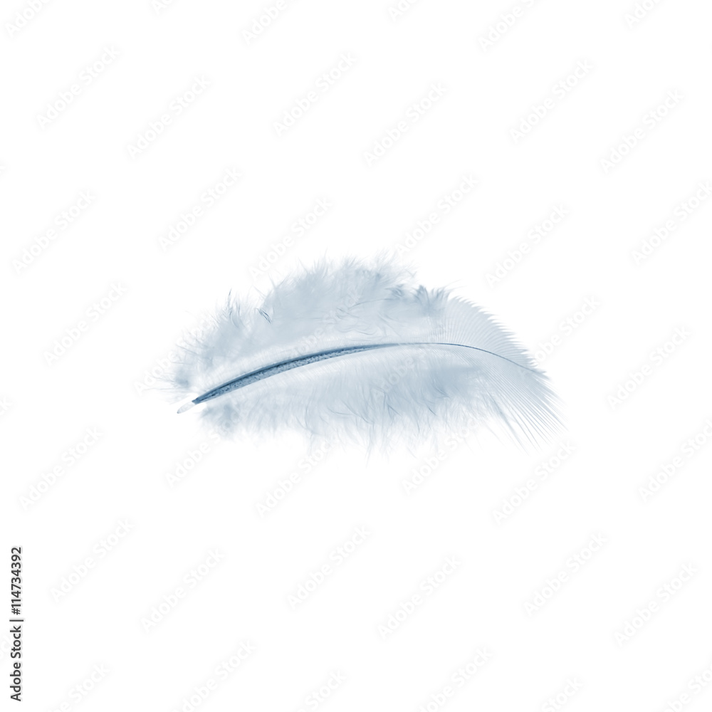 blue feather