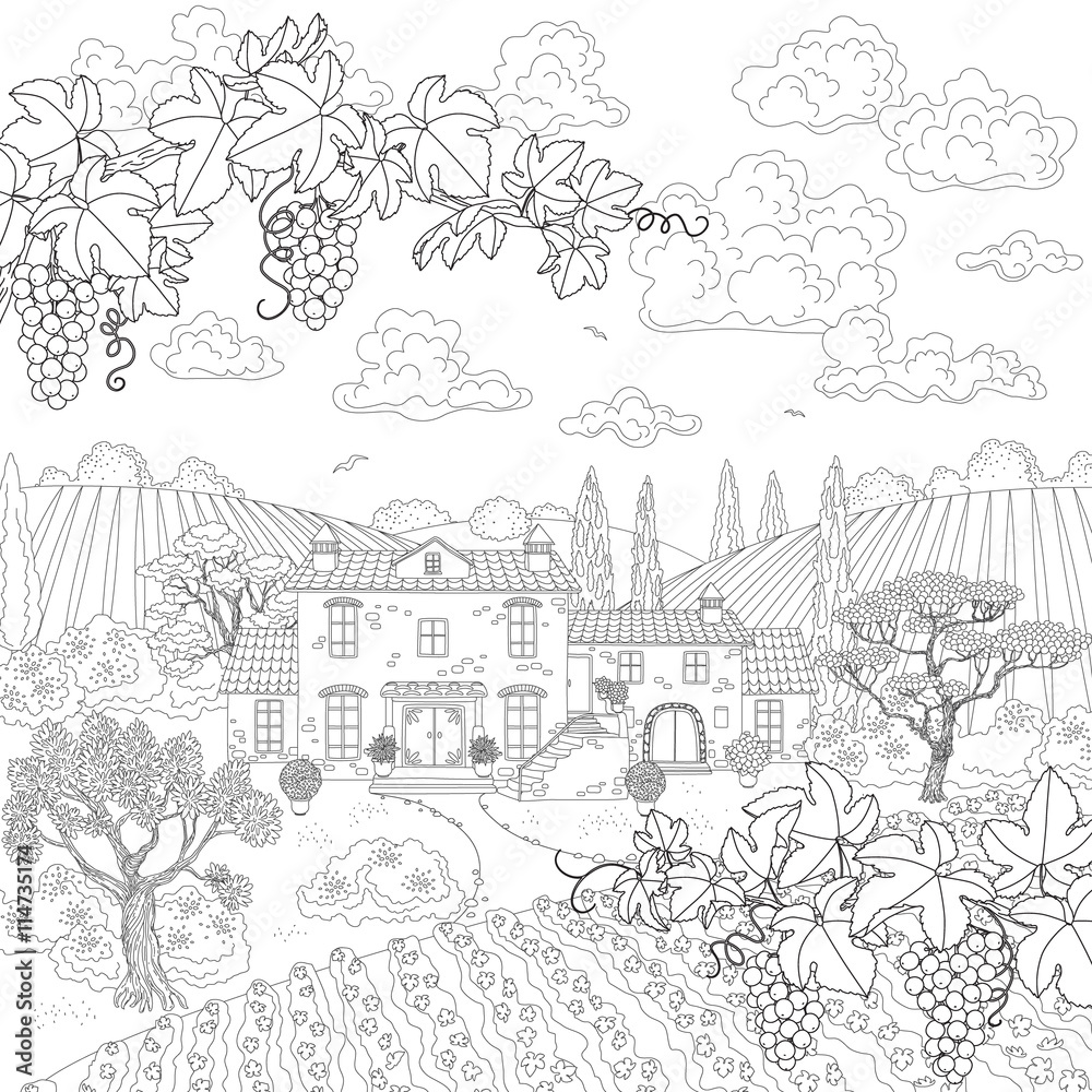 Cartoon contoured landscape with house, trees and grape branches