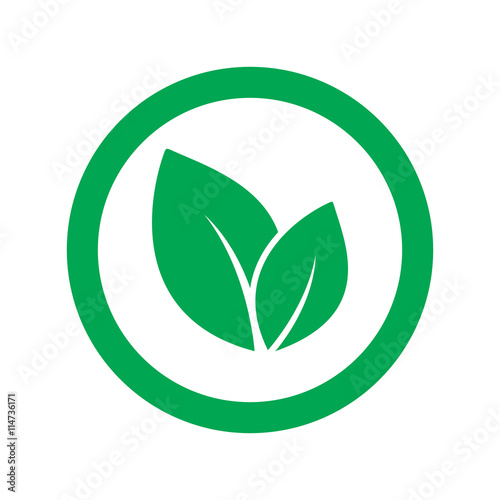 leaf icon on white background