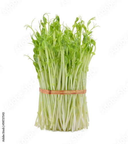 Snow pea sprouts on white background