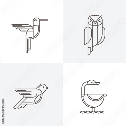 Set of vector line art logo with birds. Outline illustrations of hummingbird,...