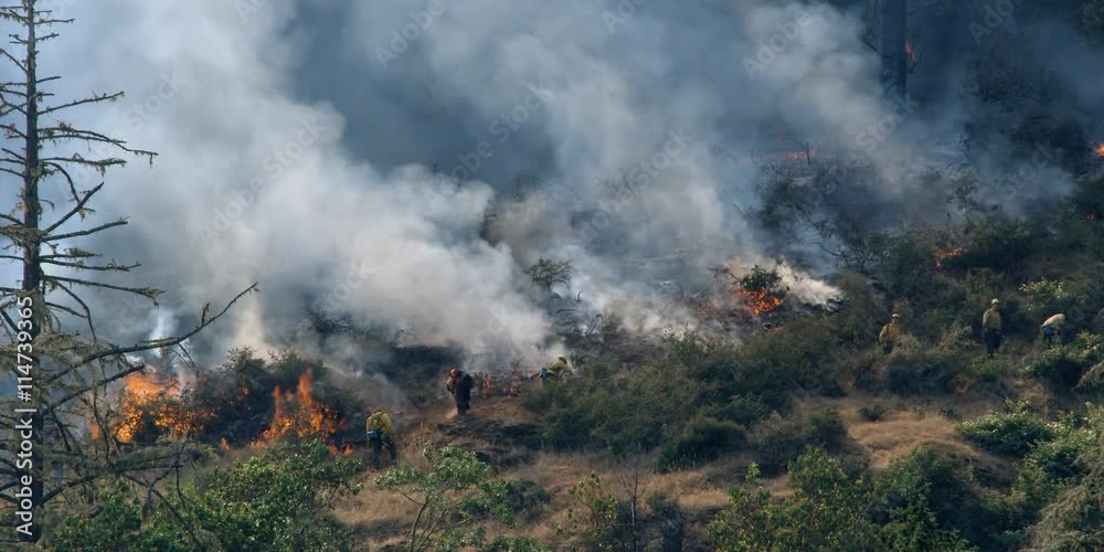 Firefighters digging a fire line near flames at the edge of a charred area Firefighters digging a fire line near flames at the edge of a charred area