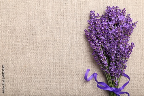 Fototapeta Naklejka Na Ścianę i Meble -  Lavender.