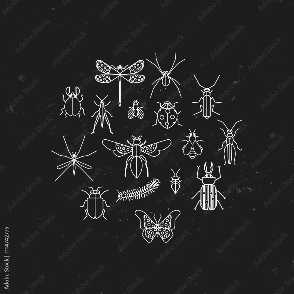 Cute bugs and insects circle design element made in vector. Stock ...