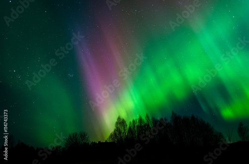 Beautiful photo of Northern Lights in Estonia sky