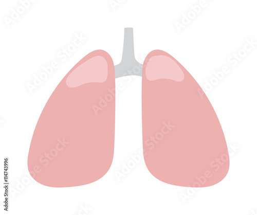 Human lung icon medical healthy chest sign body organ. Vector medical character lung icon breathe shape healthcare. Tracheal disease silhouette lung icon anatomical organ simple design.