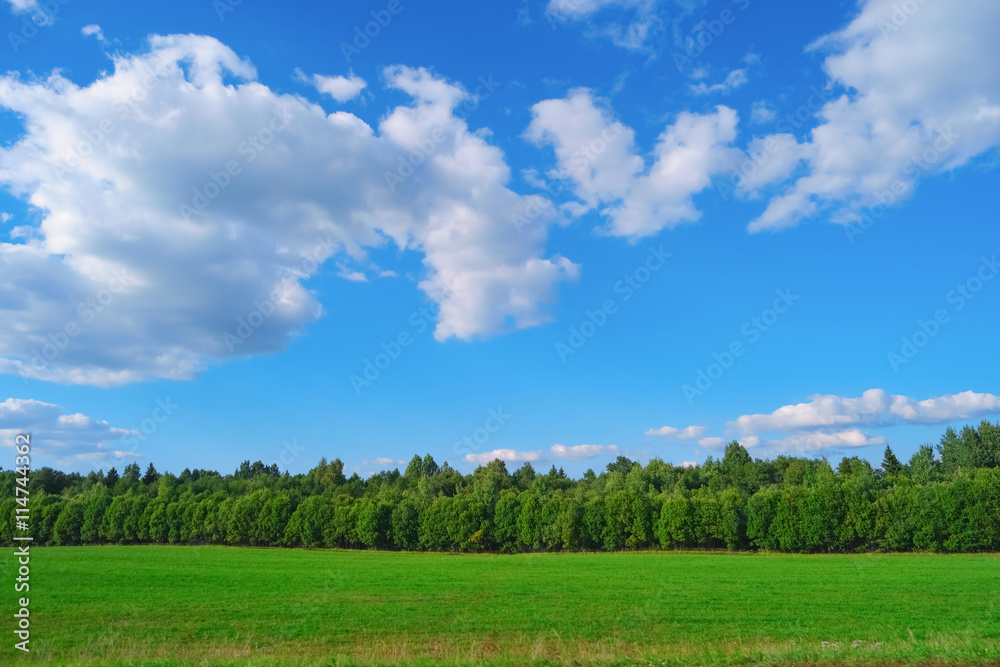 Summer landscape with sky, clouds, trees and grass