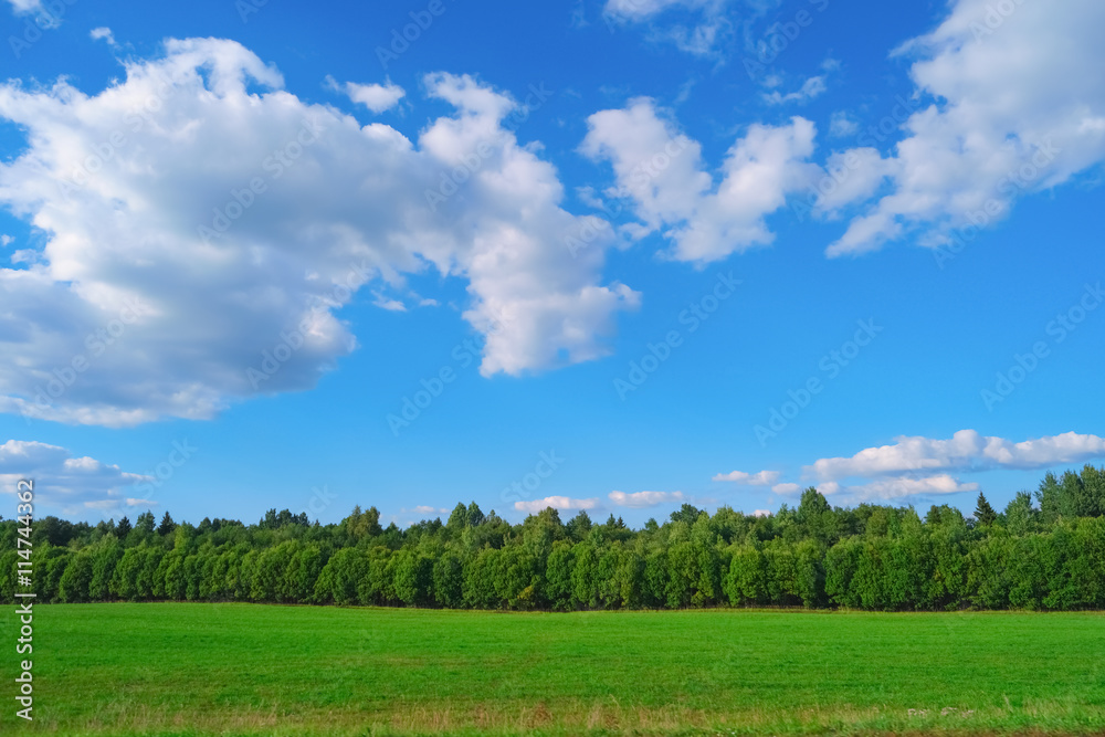Summer landscape with sky, clouds, trees and grass Summer landscape with sky, clouds, trees and grass