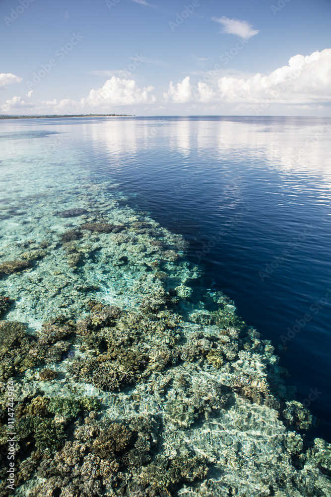 Reef Drop Off in Tropical Pacific