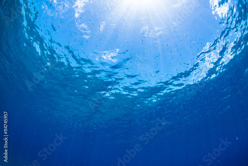 Sunlight into Underwater