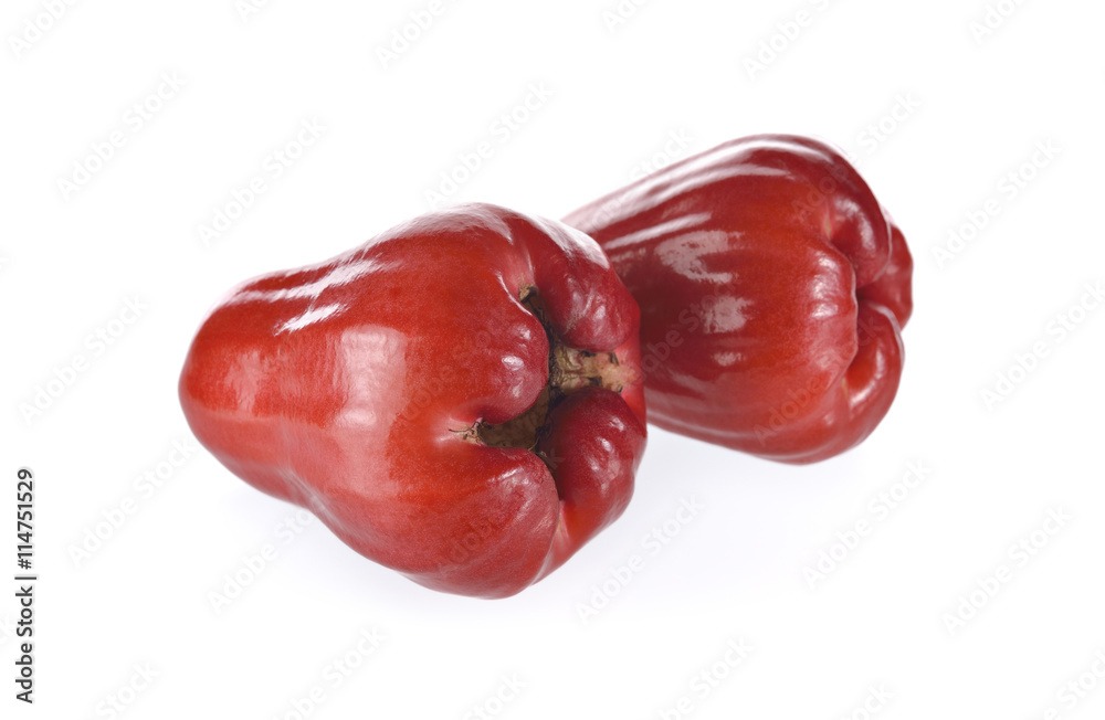 whole fresh rose apple fruit on white background whole fresh rose apple fruit on white background
