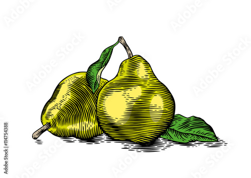 Two fresh pears with a leaves
