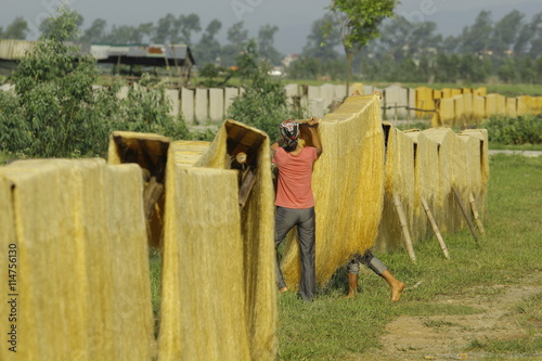 CuDa village - Hanoi - Vietnam - May 11 2014 - Arrowroot vermicelli- a special Vietnamese noodles are being dried on bamboo fences going along the roads of village photo