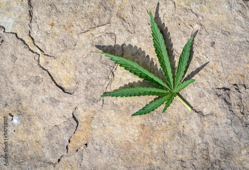 Single Cannabis Leaf and Stone Background