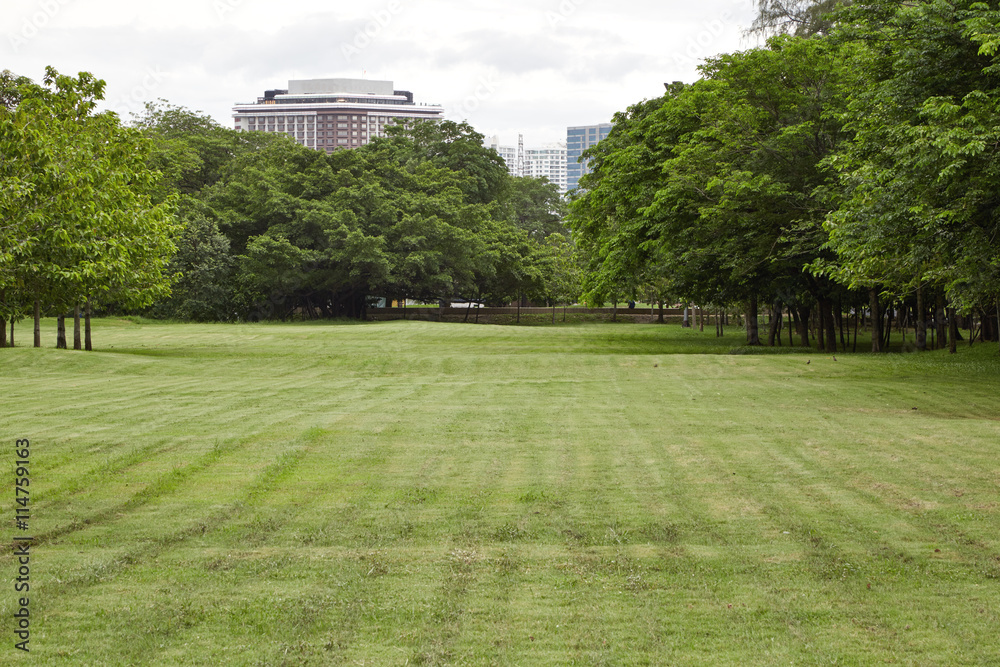 Obraz premium City park