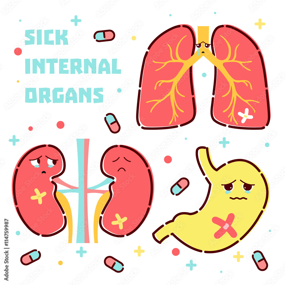 Cute sick internal organs icon set made in cartoon style. Lungs, kidneys,  stomach cartoon characters. Human body organs anatomy icon. Medical  concept. Vector illustration. Stock Vector | Adobe Stock