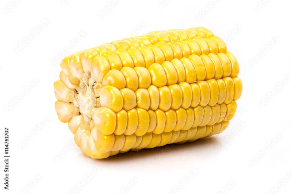 corn on a white background corn on a white background