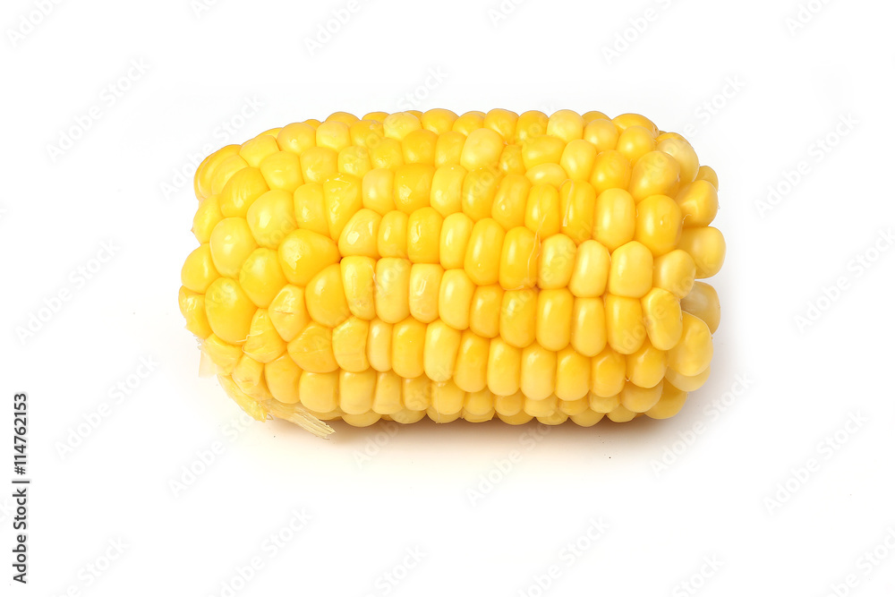 boiled corn on a white background boiled corn on a white background