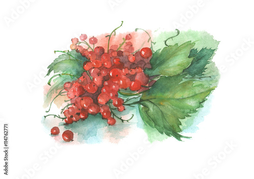 Watercolor painting - berry, red currant with leaves on a white background. Poster, postcard, decoration