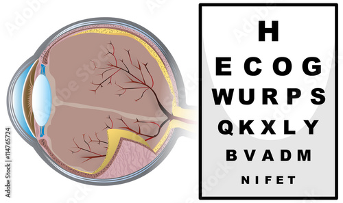 Eye checking with reading board