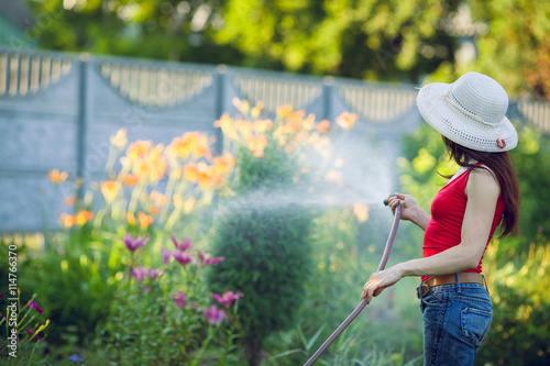 Watering with a hose, gardening concept