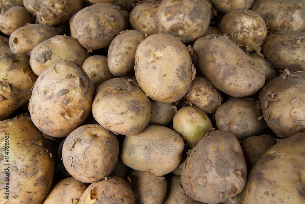 Top view of many potatoes at the market Top view of many potatoes at the market