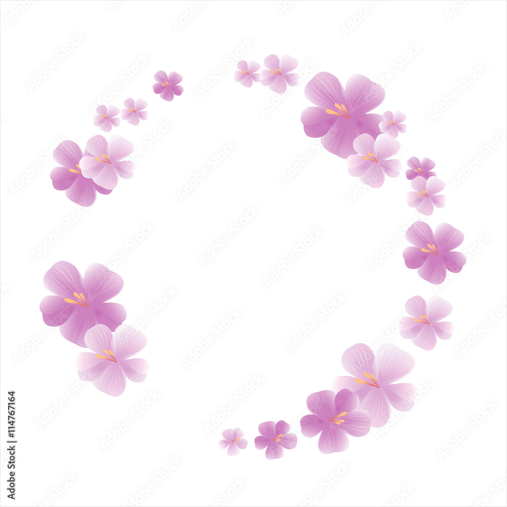 Flowers design. Flowers background. Spring frame with flowers. Sakura blossoms. Cherry blossom isolated on White background. Vector