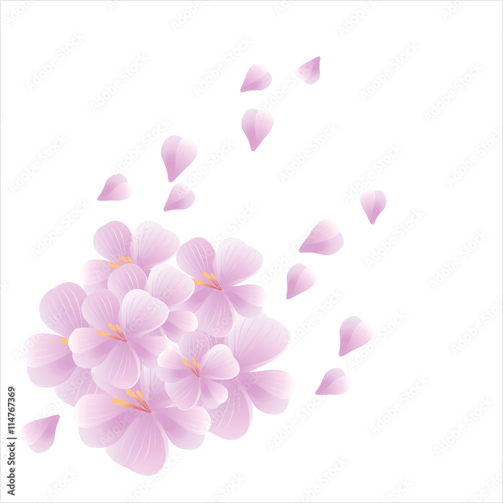 Bouquet of Sakura and flying petals isolated on white background. Apple-tree flowers. Cherry blossom. Vector