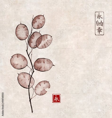 Annual honesty hand drawn with ink on vintage background. Traditional Japanese ink painting sumi-e. Contains hieroglyphs - eternity, freedom, happiness