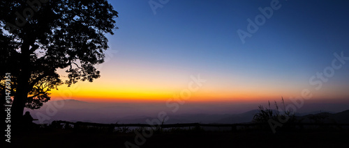 A big tree silhouetted with stunning sunset  panorama view