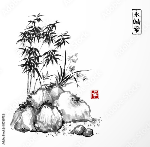 Little bamboo tree and wild orchid on rocks. Traditional Japanese ink painting sumi-e on white background. Contains hieroglyphs - eternity, freedom, happiness