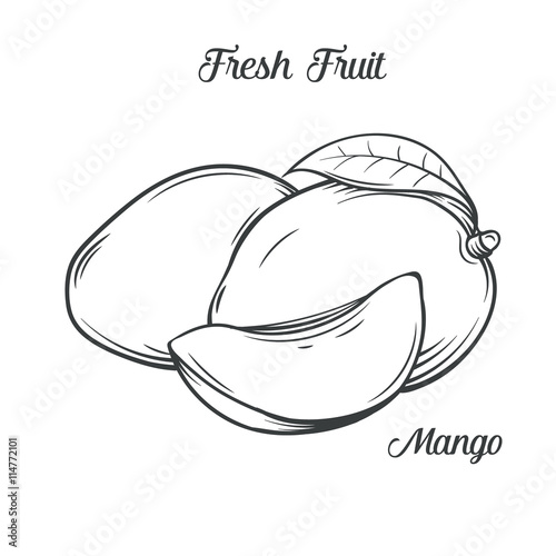 Hand drawn mango icon.