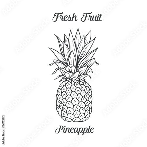 Hand drawn pineapple icon