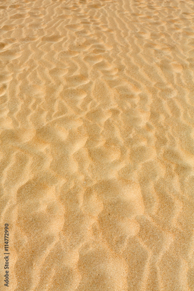 Sand patterns after wind on the Nature reserve, Park Natural, Corralejo, Fuerteventura, Canary Islands, Spain. Sand patterns after wind on the Nature reserve, Park Natural, Corralejo, Fuerteventura, Canary Islands, Spain.