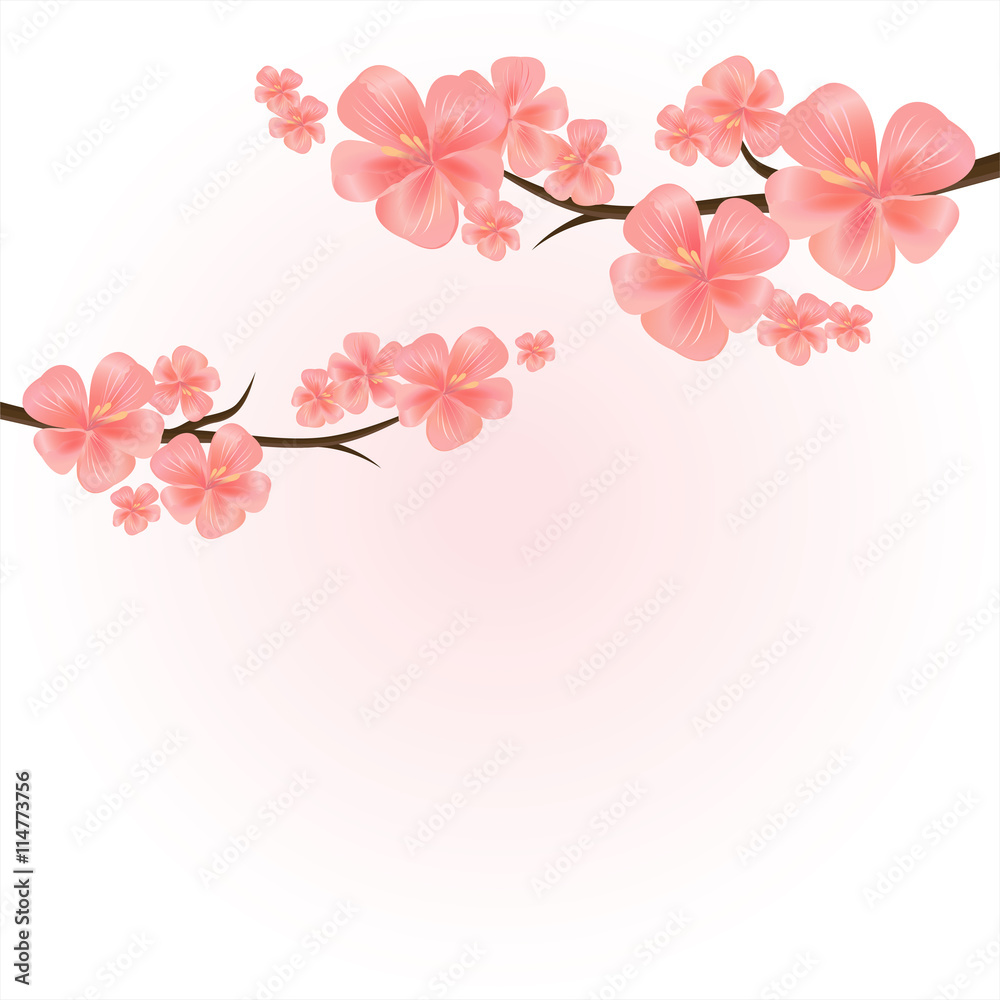 Apple tree flowers. Branches of sakura with flowers on light-pink. Cherry blossom branch. Vector 