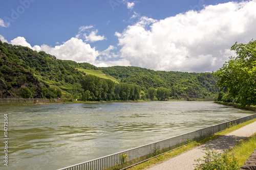 Fußweg am Ufer des Rheins im Sommer
