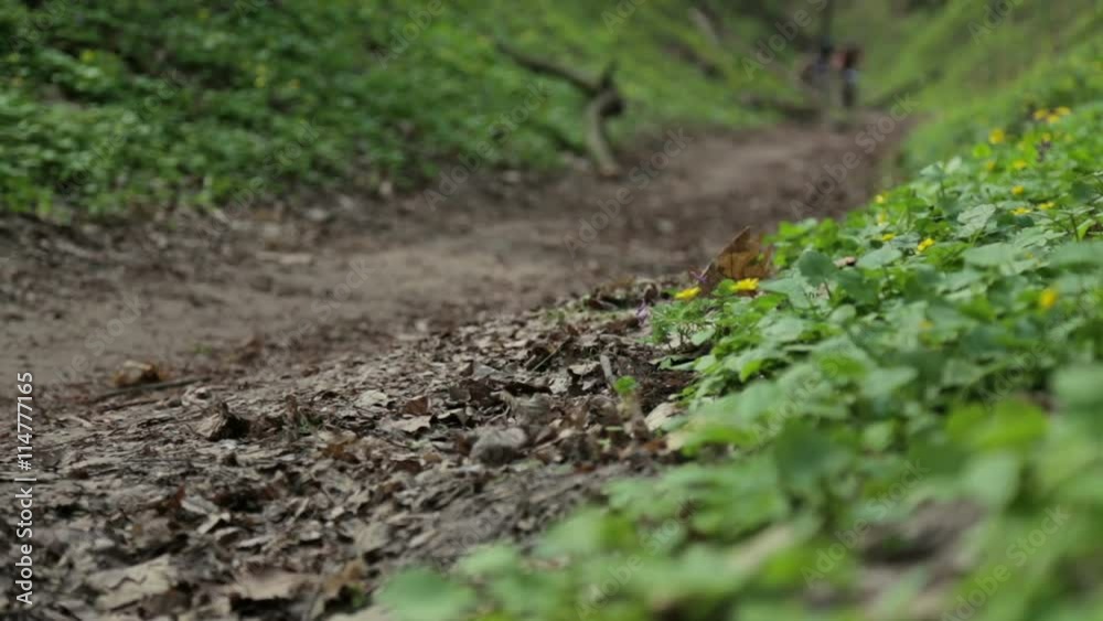 Competitions with a mountain bike Competitions with a mountain bike