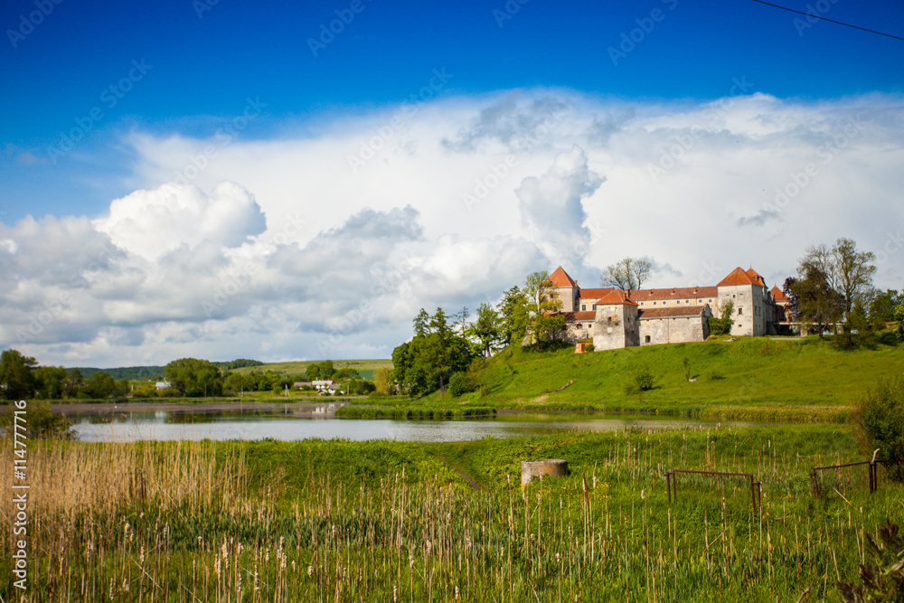 Fototapeta premium Old castle surrounded with summer nature