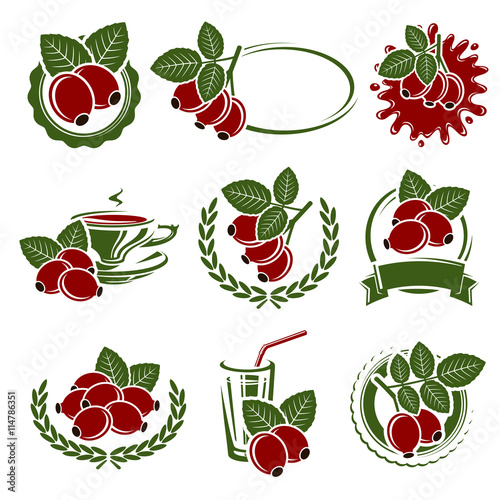 Briar labels and elements set. Vector 