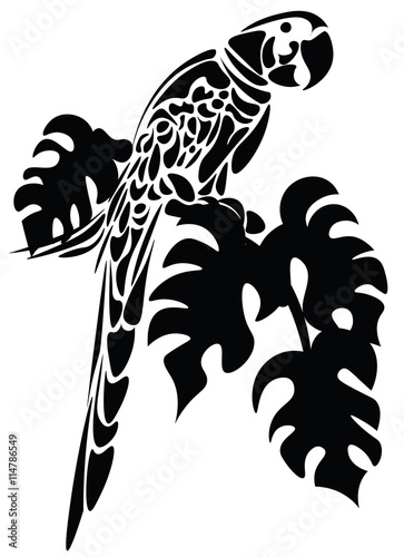 Parrot bird isolated on white. Vector sketch black color