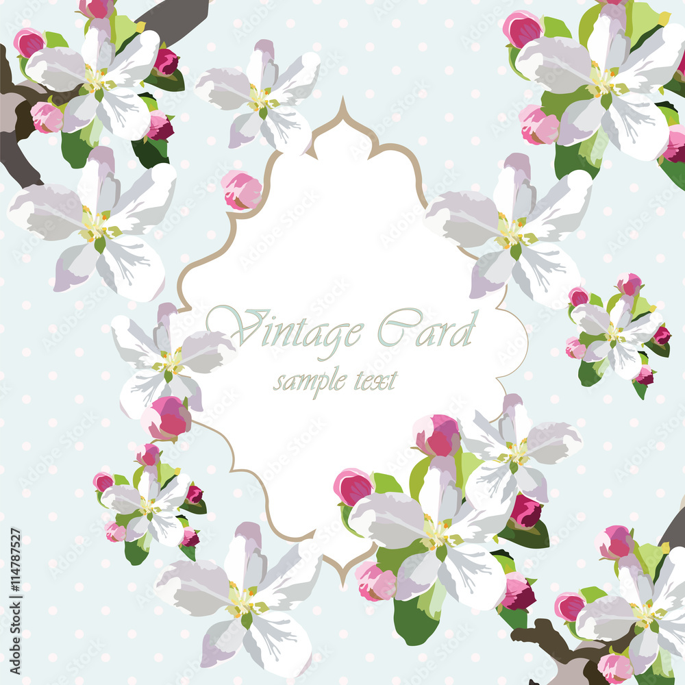 Vector Vintage Card with spring delicate blooming flowers. Invitation or greeting card