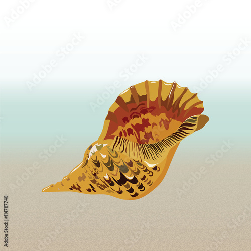 Vector sea shell hand drawn. Vintage Holiday Sea shell on beach background. S...