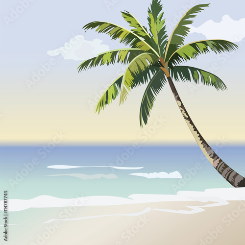 Vintage beautiful Sunset Seaside Tropical card. Summer beach and Palm tree Ve...