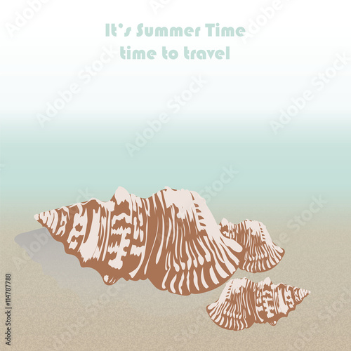 Vector sea shell hand drawn. Vintage Holiday Sea shell on beach background. Scallop shell for Greeting card or travel cards