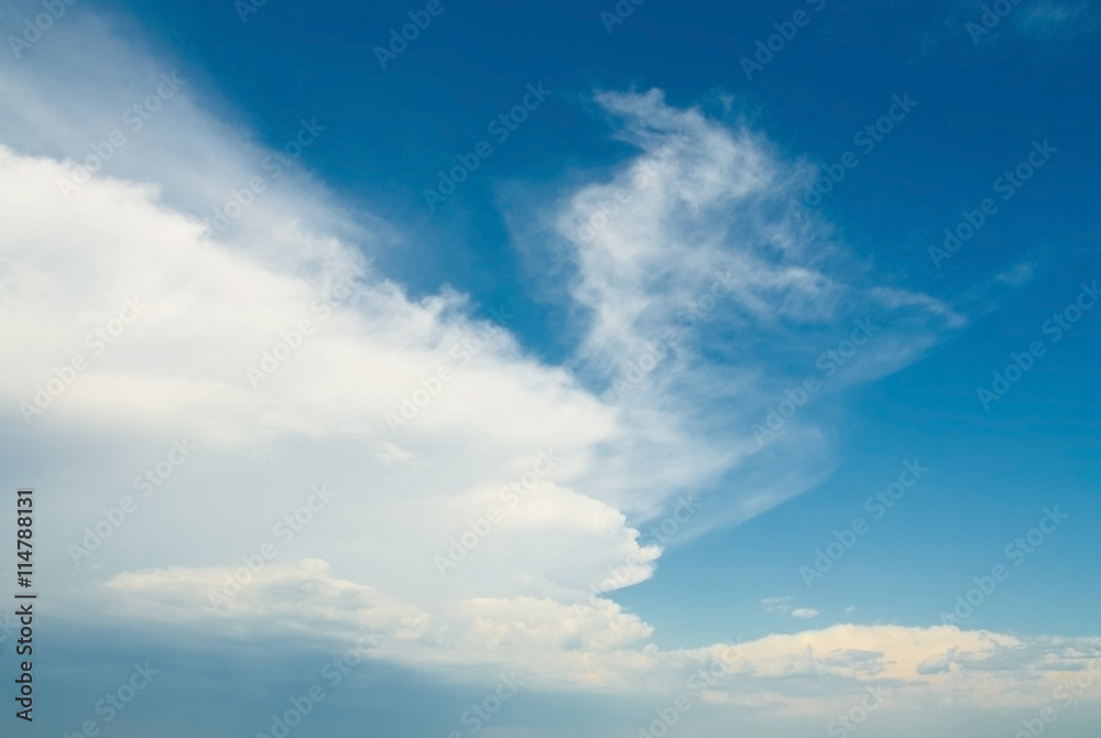 Beautifull soft white clouds against blue sky