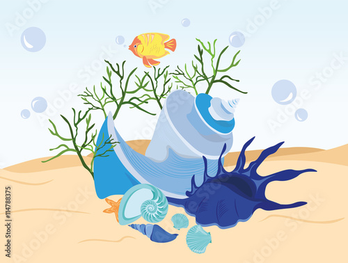 Shell underwater. Vector Illustration