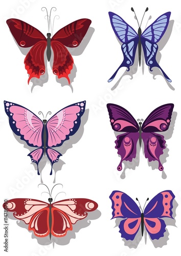 Butterfly set Colorful collection Vector